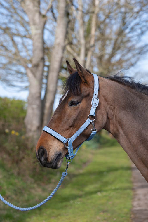 Rhinegold Sorbet Padded Headcollar and Luxe Leadrope Set