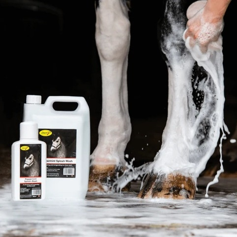 Smart Grooming Peppermint Splosh Wash