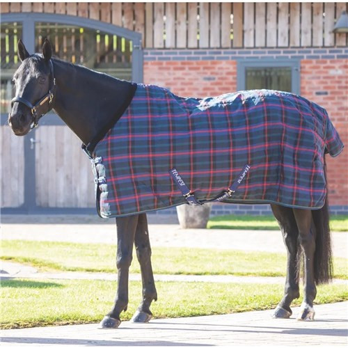 Tempest Plus 100 Stable Rug - Green Check