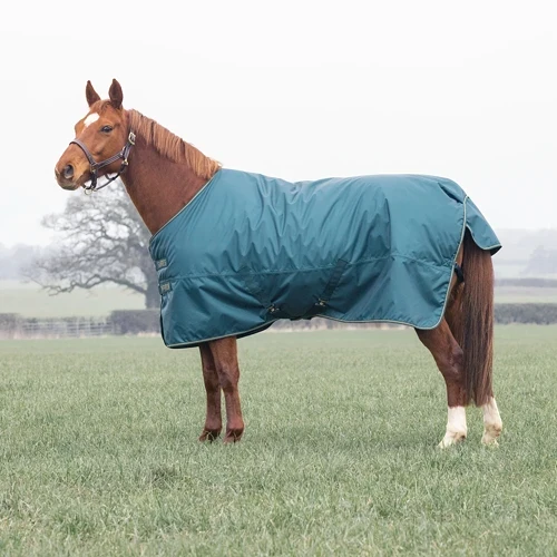 Typhoon 200 Standard Turnout Rug - Green