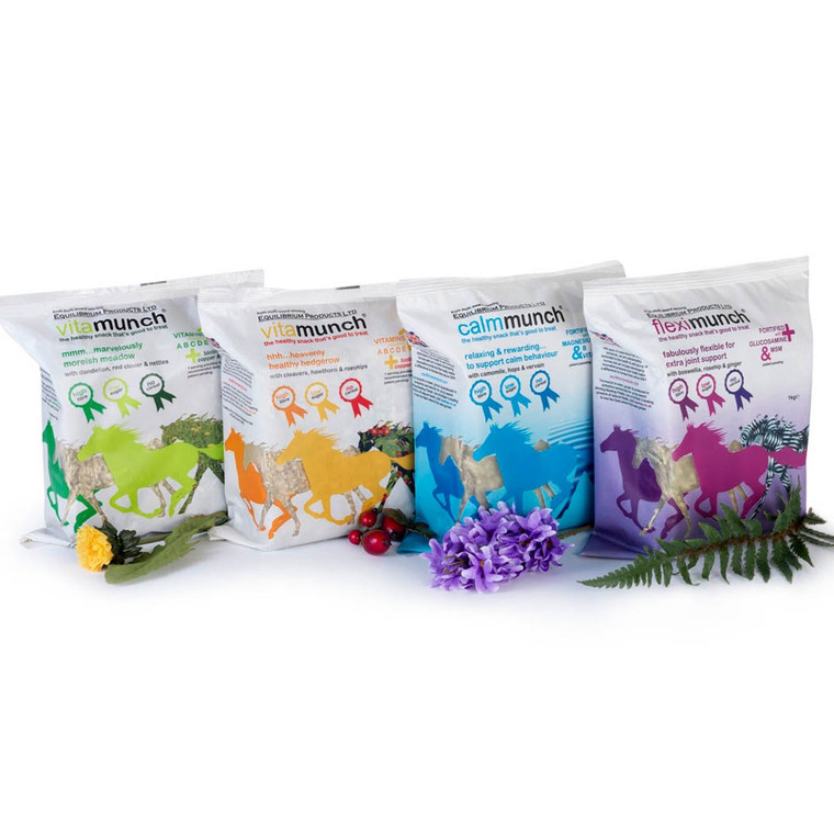 Equilibrium Munch Blocks Equilibrium Munch Blocks