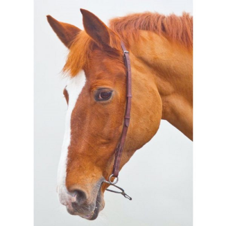 Blenheim Chifney Bit Strap