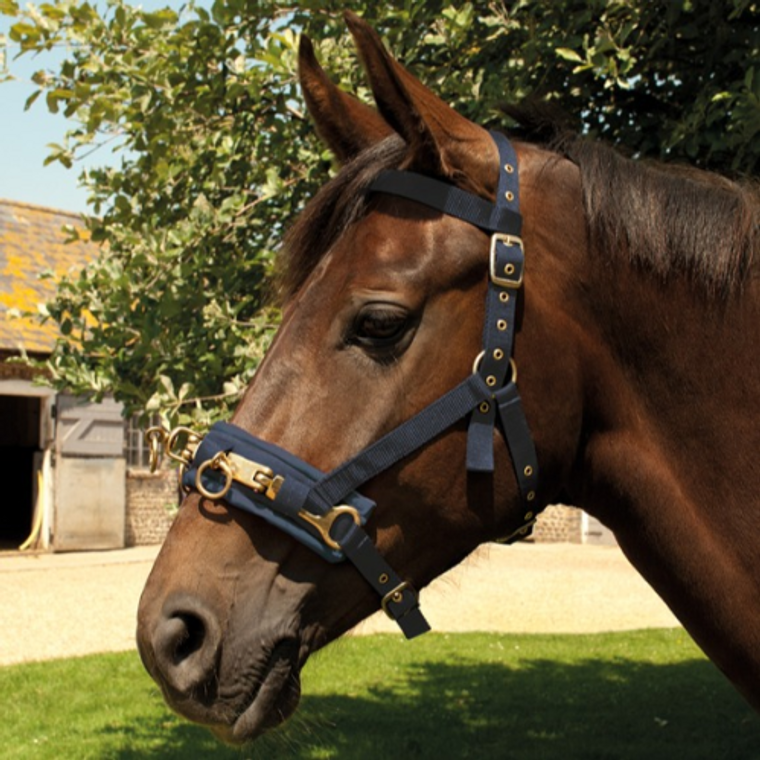 Rhinegold Nylon Lunge Cavesson