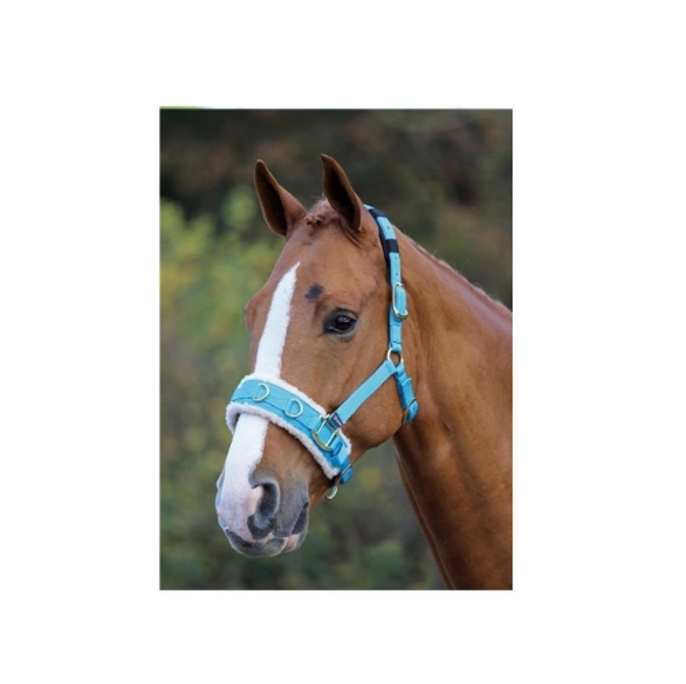 Shires Fleece Lined Lunge Cavesson