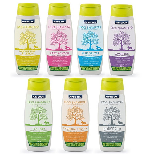 ancol dog shampoo