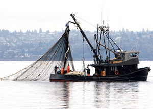 The 8 Most Deadly Career Choices