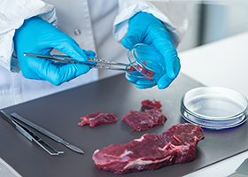 Preventing Chemical Hazards in Food