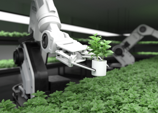 New Agricultural Technologies Call for New LOTO Procedures
