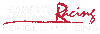 DSS RACING