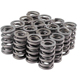 Valve Spring Set GM LS 1.304 Dual