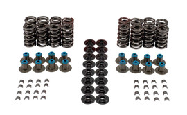 Valve Spring Kit GM LS