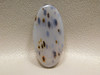 Montana Agate Translucent Polka Dot Gemstone Cabochon Stone #16