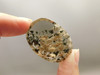 Lodolite or Garden Quartz Cabochon #20