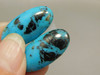 Turquoise Matched Pair Cabochons #12