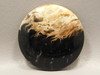 Petrified Palm Wood Cabochon Indonesia #11