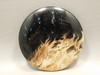 Petrified Palm Wood Cabochon Indonesia #11