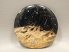 Petrified Palm Wood Cabochon Indonesia #13