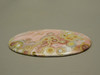 Ocean Jasper Large Collector Cabochon #XL10