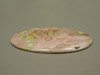 Ocean Jasper Large Collector Cabochon #XL10