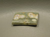 Ocean Jasper Cabochon #14
