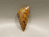 Coquina Jasper Cabochon #20