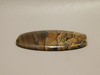 Biggs Jasper Cabochon #22
