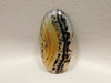 Montana Agate Cabochon #4