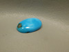 Turquoise Cabochon #16