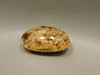 Lodolite or Garden Quartz Cabochon #14