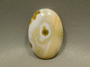 Ocean Jasper Cabochon #19