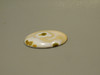 Ocean Jasper Cabochon #19