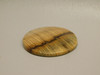 Petrified Golden Oak Wood Cabochon #11