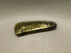 Apache Gold Cabochon #1