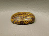 Coquina Jasper Cabochon #10