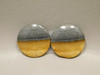 Starry Night Picture Jasper Matched Pair Cabochons #20