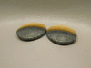 Starry Night Picture Jasper Matched Pair Cabochons #20