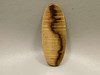 Petrified Golden Oak Wood Cabochon #3