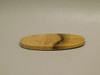 Petrified Golden Oak Wood Cabochon #7