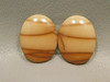 Bruneau Jasper Matched Pair Cabochon #2