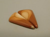 Bruneau Jasper Matched Pair Cabochon #5