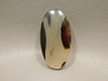 Montana Agate Cabochon #14