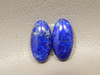 Lapis Lazuli Matched Pair Cabochons #5