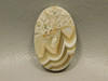 Crazy Lace Agate Cabochon #20