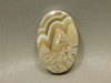Crazy Lace Agate Cabochon #20