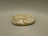 Crazy Lace Agate Cabochon #20