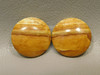 Starry Night Picture Jasper Matched Pair Cabochons #5