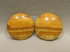Starry Night Picture Jasper Matched Pair Cabochons #5