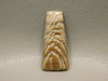 Petrified Sycamore Wood Cabochon #24