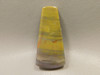 Arizona Rainbow Petrified Wood Stone Bead Pendant #2