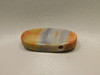 Arizona Rainbow Petrified Wood Stone Bead Pendant #4
